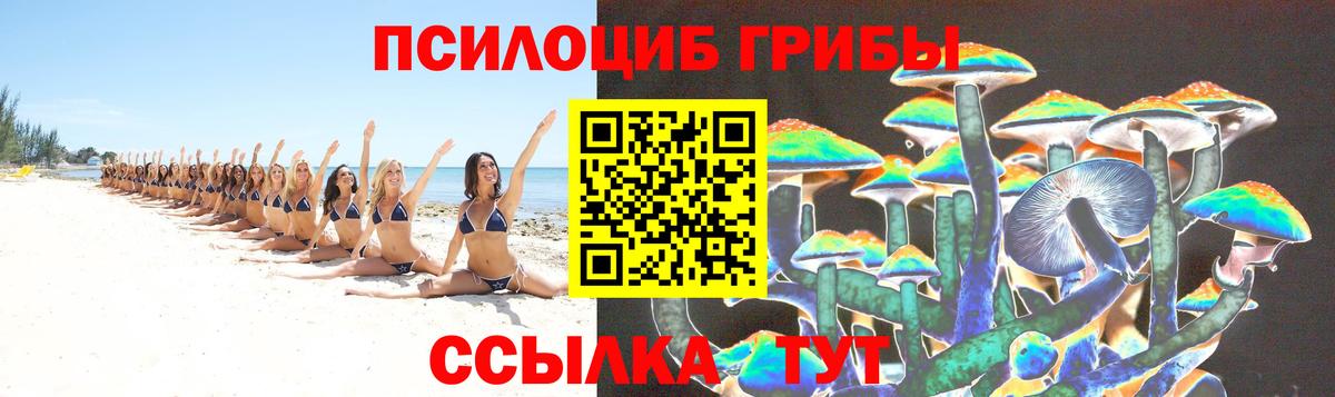 Псилоцибиновые грибы Psilocybine cubensis  купить закладку  Радужный  Вход с VPN  Псилоцибиновые грибы MAGIC MUSHROOMS 